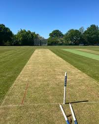 Image result for Winscombe Cricket Club