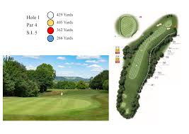 Image result for Betchworth Park Golf Club