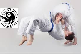 Image result for Beith Judo Club