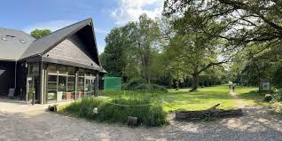 Image result for Chorleywood Cricket Club