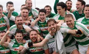 Image result for Sarsfield Gfc