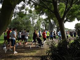 Image result for Harwich Runners