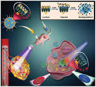 A Multifunctional Biodegradable Nanocomposite for Cancer ...