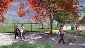 Image result for Belvedere Park Junior Football Club