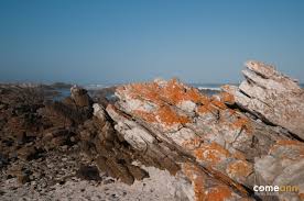 Image result for przyk adnica