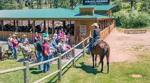 Image result for Palmers Riding Stables