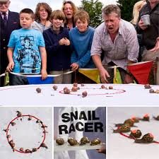 Image result for World Snail Racing Championships
