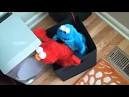 elmo sex tape