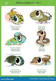 Attēlu rezultāti vaicājumam “Reptilia”