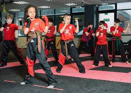 Image result for PKA Kickboxing - Ripley and Heanor