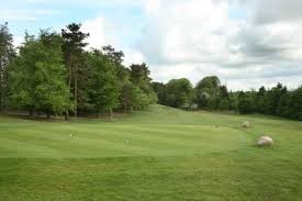 Image result for Carlow Golf Club