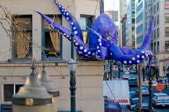 Image result for Octopushy (Croydon Area)