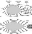 streamlining portal blood flow definition of streamlining portal ...