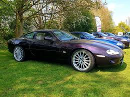 Image result for Amananth Purple 1998 Jaguar