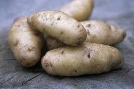 Attēlu rezultāti vaicājumam “Solanum tuberosum”