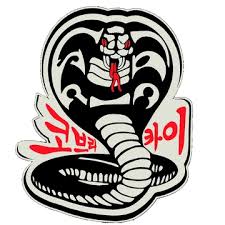 Image result for Cobra Karate Club