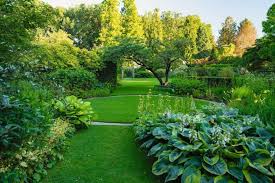 Image result for Mien Ruys