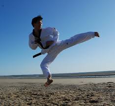 Image result for Chichester Tae Kwon Do