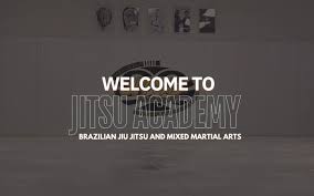 Image result for Derwent Jujitsu Academies