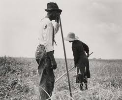 Résultat de recherche d'images pour "farm security administration photo"