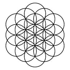 Image result for life flower