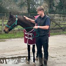 Image result for South Weylands Equestrian