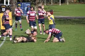 Image result for Shelford Rugby Club
