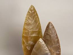 Image result for feuille-laurier-silex