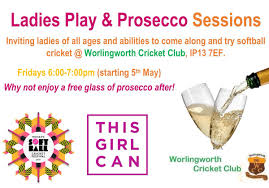 Image result for Worlingworth Cricket Club