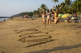 Image result for goa beaches