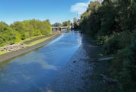 Image result for Slough