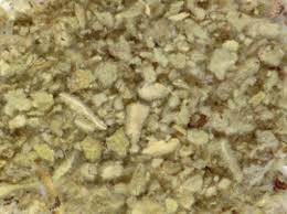 Attēlu rezultāti vaicājumam “Verbascum thapsus fruit”