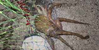 Image result for 201205.html#201205031