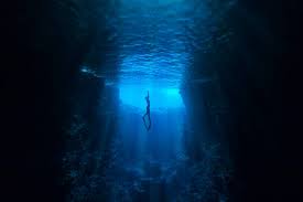 Image result for Deep Blue Diving