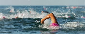 Image result for 1066 Swimmers