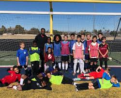 Image result for Phoenix Youth Sc