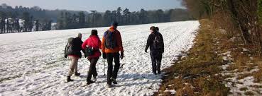 Image result for Mid Surrey Ramblers