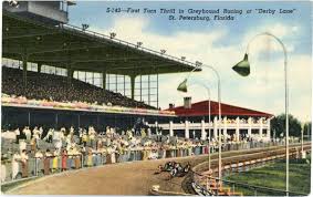 Image result for Reading Greyhound Track
