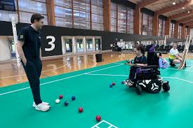 Image result for Well Being and Leisure Team (Boccia)