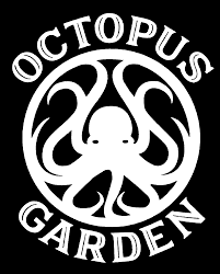 Image result for Norfolk Pikes Octopush Club