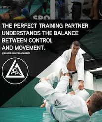 Image result for Judo/Ju-Jitsu Self Defence