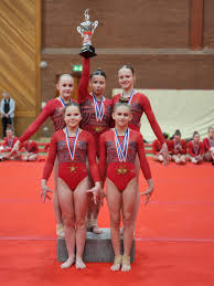 Image result for Park Wrekin Gymnastics Club