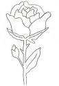 Malvorlagen Ausmalbilder Rose  Rose ausmalen  Ausmalbilder Blumen