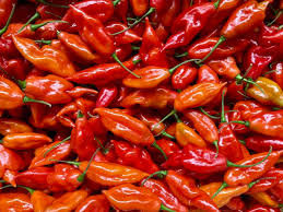 Afbeeldingsresultaat voor paper lantern hot pepper