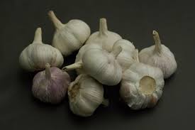 Attēlu rezultāti vaicājumam “Allium sativum fruit”