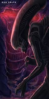 Image result for xenomorph
