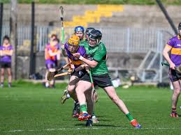 Image result for Carryduff Gaelic Athletic Club