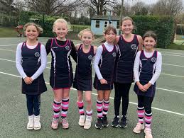 Image result for Fetcham Netball Club
