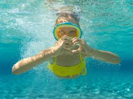 Image result for Wyndley NSC Snorkelling Club