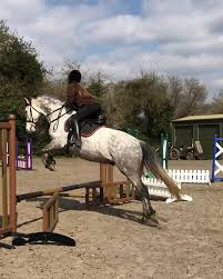 Image result for The Chobham Common Riders Association